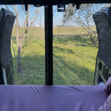 Econoline Rear Door Bug Screen Interior View