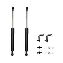 Sprinter Hood Strut Kit